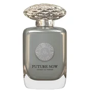 Auraa Desire Future Now Lõhnavesi 100ml