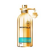Montale Day Dreams Lõhnavesi