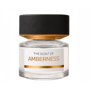 BMW The Scent of Amberness Lõhnavesi 50ml