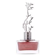 Aurora Scents Deciduous Spring Lõhnavesi 100ml