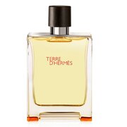 Hermes Terre D'Hermes Pure Parfum Lõhnavesi 75ml