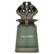 French Avenue Thunder Lõhnavesi 100ml