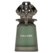 French Avenue Thunder Lõhnavesi 100ml