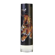 Christian Audigier Ed Hardy Men's Tualettvesi