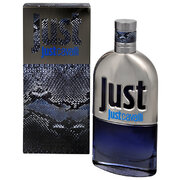Roberto Cavalli Just Cavalli Him 2013 Tualettvesi