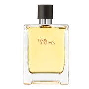Hermes Terre D'Hermes Pure Parfum Lõhnavesi 200ml