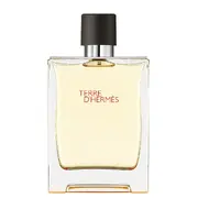 Hermes Terre D'Hermes Tualettvesi 200ml