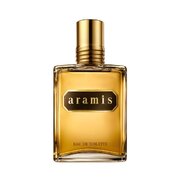 Aramis Aramis Tualettvesi 110ml