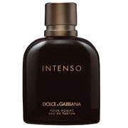 Dolce & Gabbana Intenso Pour Homme Lõhnavesi 200ml