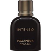 Dolce & Gabbana Intenso Pour Homme Lõhnavesi – tester