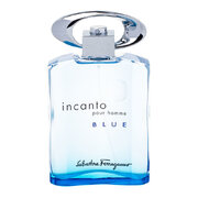 Salvatore Ferragamo Incanto Pour Homme Blue Tualettvesi