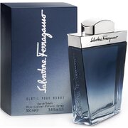 Salvatore Ferragamo Subtil Pour Homme Tualettvesi 100ml