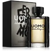 Salvatore Ferragamo Uomo Tualettvesi 100ml
