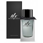 Burberry hr. Burberry tualettvesi, 150 ml