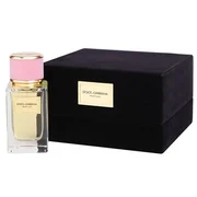 Dolce & Gabbana Velvet Love parfüümvesi