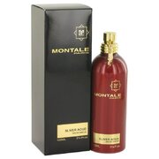 Montale Silver Aoud parfüümvesi