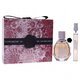 Viktor & Rolf Flowerbomb kinkekomplekt, lõhnavesi 50ml + lõhnavesi 10ml