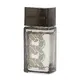 Michael Kors Pour Homme Absolu Lõhnavesi