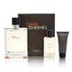 Hermes Terre D'Hermes kinkekomplekt, tualettvesi 100 ml + habemeajamisjärgne palsam 15 ml + dušigeel 40 ml