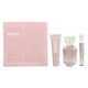 Hugo Boss The Scent tema kinkekomplekti jaoks