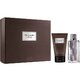 Abercrombie & Fitch First Instinct kinkekomplekt, tualettvesi 100ml + dušigeel 200ml
