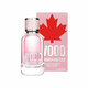 Dsquared2 Wood Pour Femme Tualettvesi