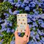 Miniatuur: Wild honey & cactus flower bee case deostick, 40 g - 486620586_1149102190348562_6774521135099687929_n