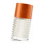 Miniatuur: 