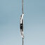 Miniatuur: 