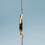 Miniatuur: 