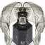 Miniatuur: 