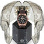 Miniatuur: 