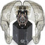 Miniatuur: 