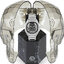Miniatuur: 