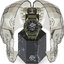 Miniatuur: 