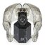 Miniatuur: 
