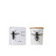 Miniatuur: 