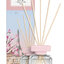 Miniatuur: 