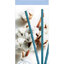Miniatuur: 