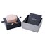 Miniatuur: 