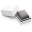 Miniatuur: 