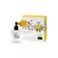 Miniatuur: 