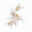 Miniatuur: 